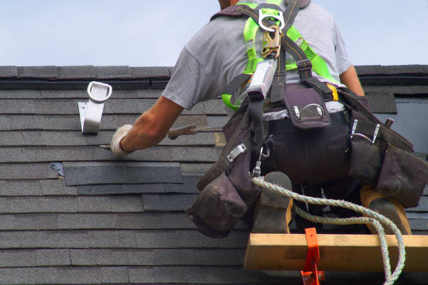 Best Storm Damage Roof Repair  in Hayneville, AL