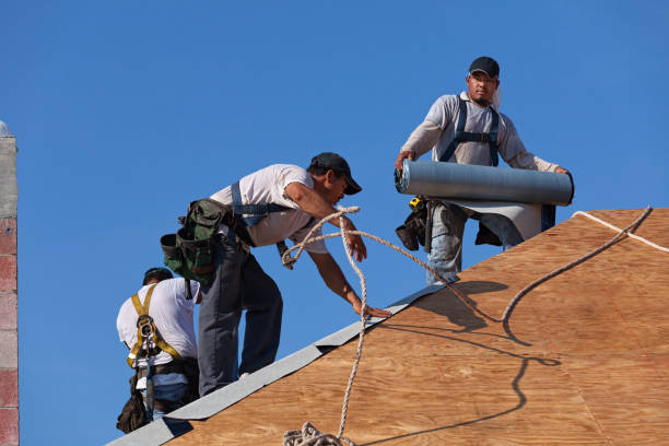 Quick and Trustworthy Emergency Roof Repair Services in Hayneville, AL