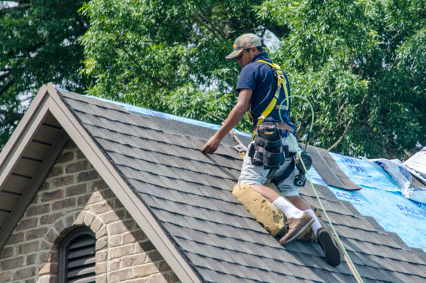 Best Gutter Installation and Roofing  in Hayneville, AL